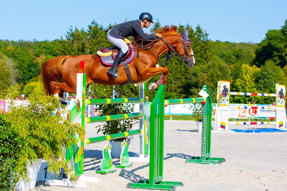cheval saut obstacle