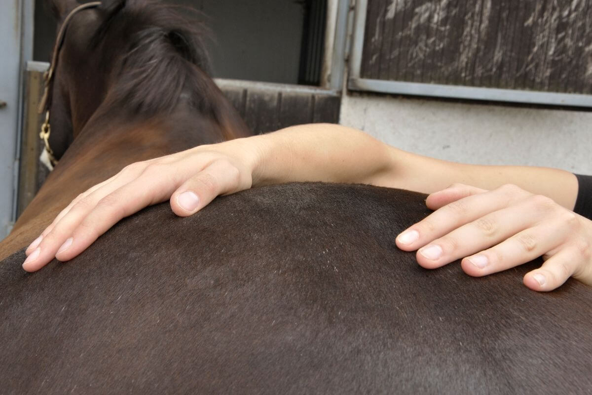 Les bienfaits des massages et du stretching